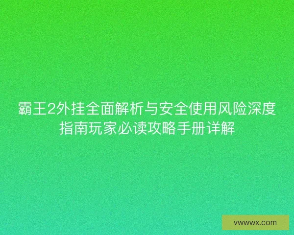 霸王2外挂全面解析与安全使用风险深度指南玩家必读攻略手册详解
