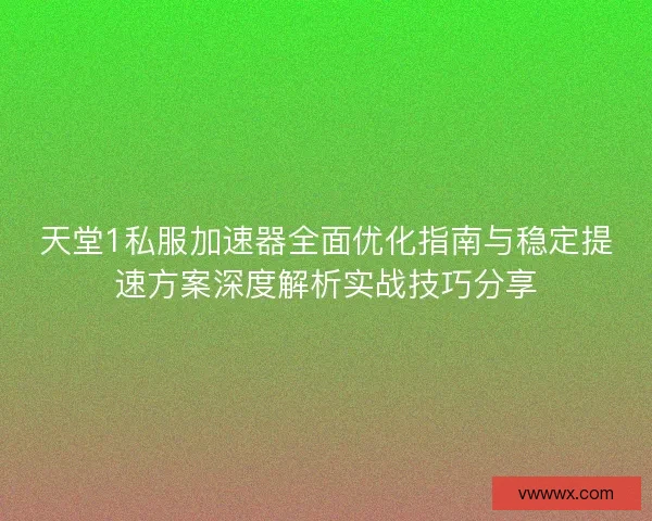 天堂1私服加速器全面优化指南与稳定提速方案深度解析实战技巧分享