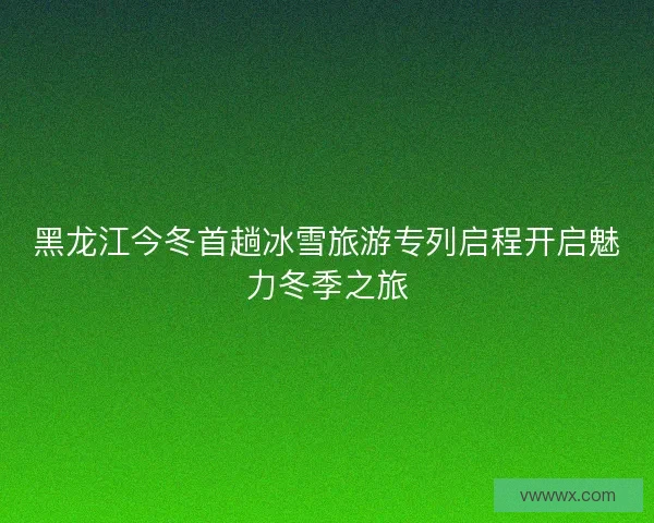 黑龙江今冬首趟冰雪旅游专列启程开启魅力冬季之旅
